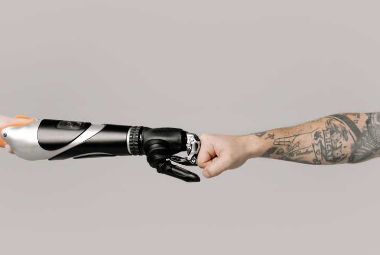 Will AI Replace My Job? What the Data Actually Says